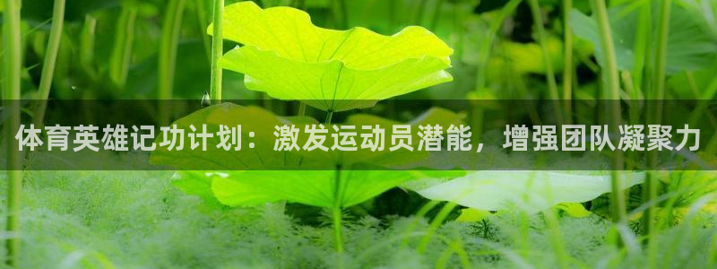 蓝鲸体育免费观看比赛：体育英雄记功计划：激发运动员潜能，增强团队凝聚力